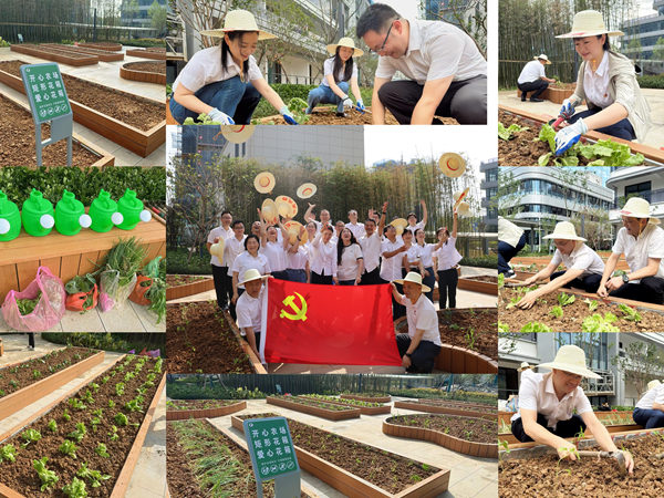 六安公司党总支开展“躬耕实践强党性，携手共建新田园”主题党日运动