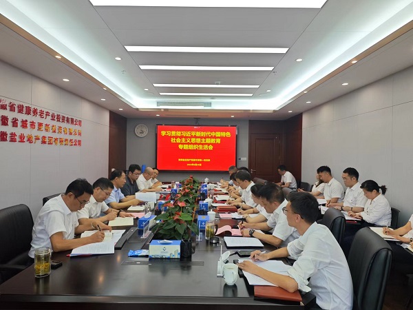 安徽盐业地产集团本部第一党支部召开主题教育专题组织生涯会